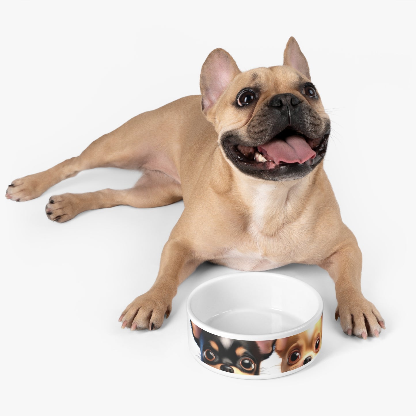 Pet Dog Bowl – Ceramic Food & Water Dish, Microwave & Dishwasher Safe, Chihuahua Pet Bowl – Perfect for Dog Lovers