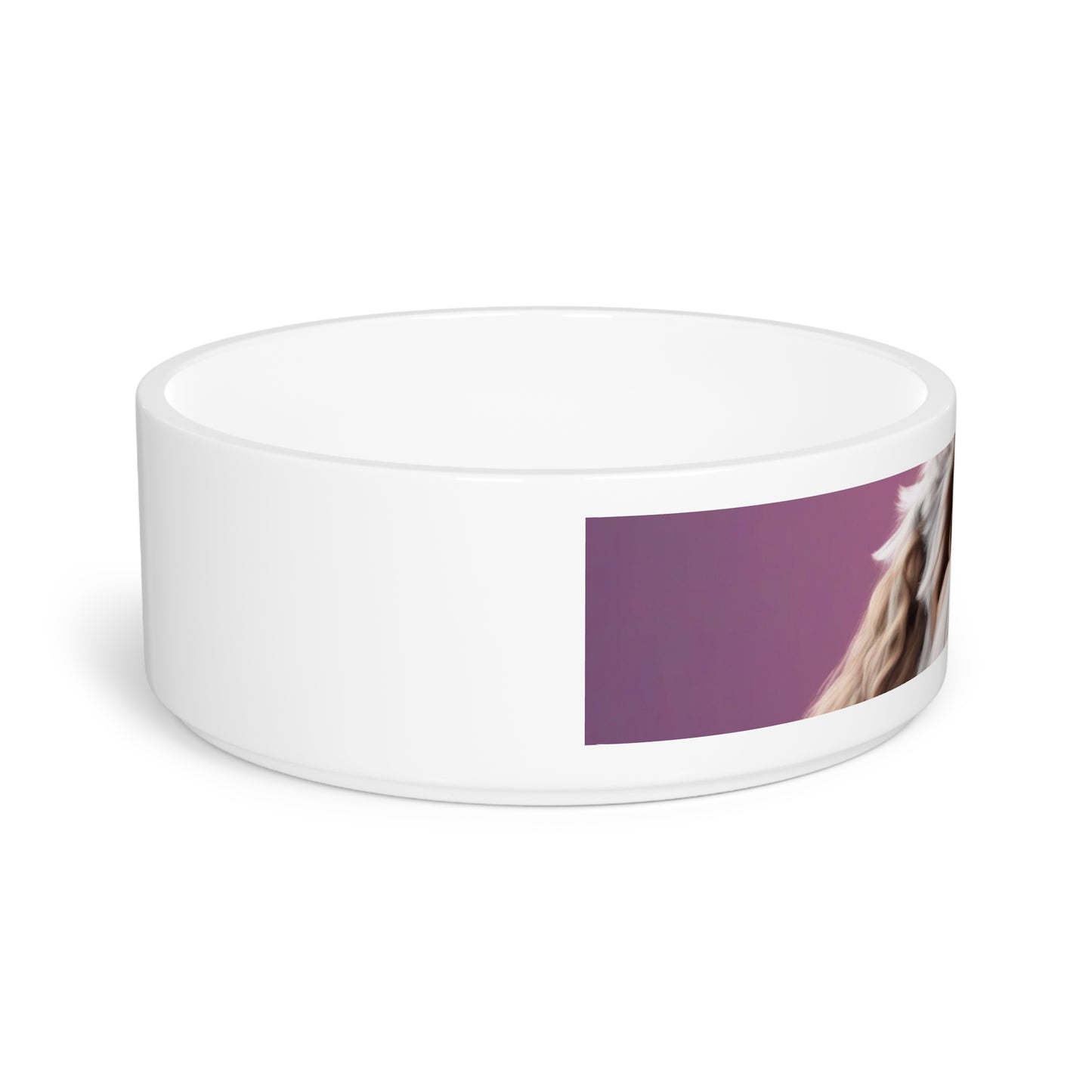 Pet Dog Bowl – Ceramic Food & Water Dish, Microwave & Dishwasher Safe