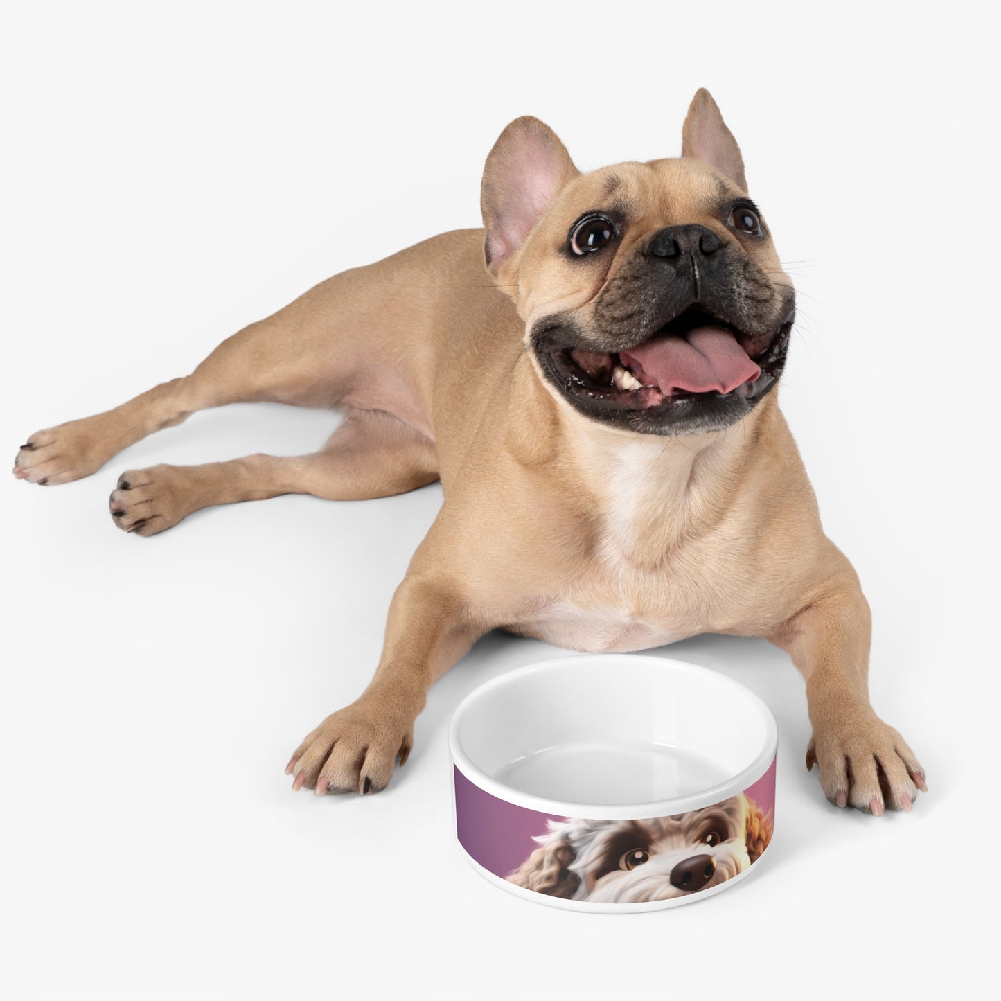 Pet Dog Bowl – Ceramic Food & Water Dish, Microwave & Dishwasher Safe