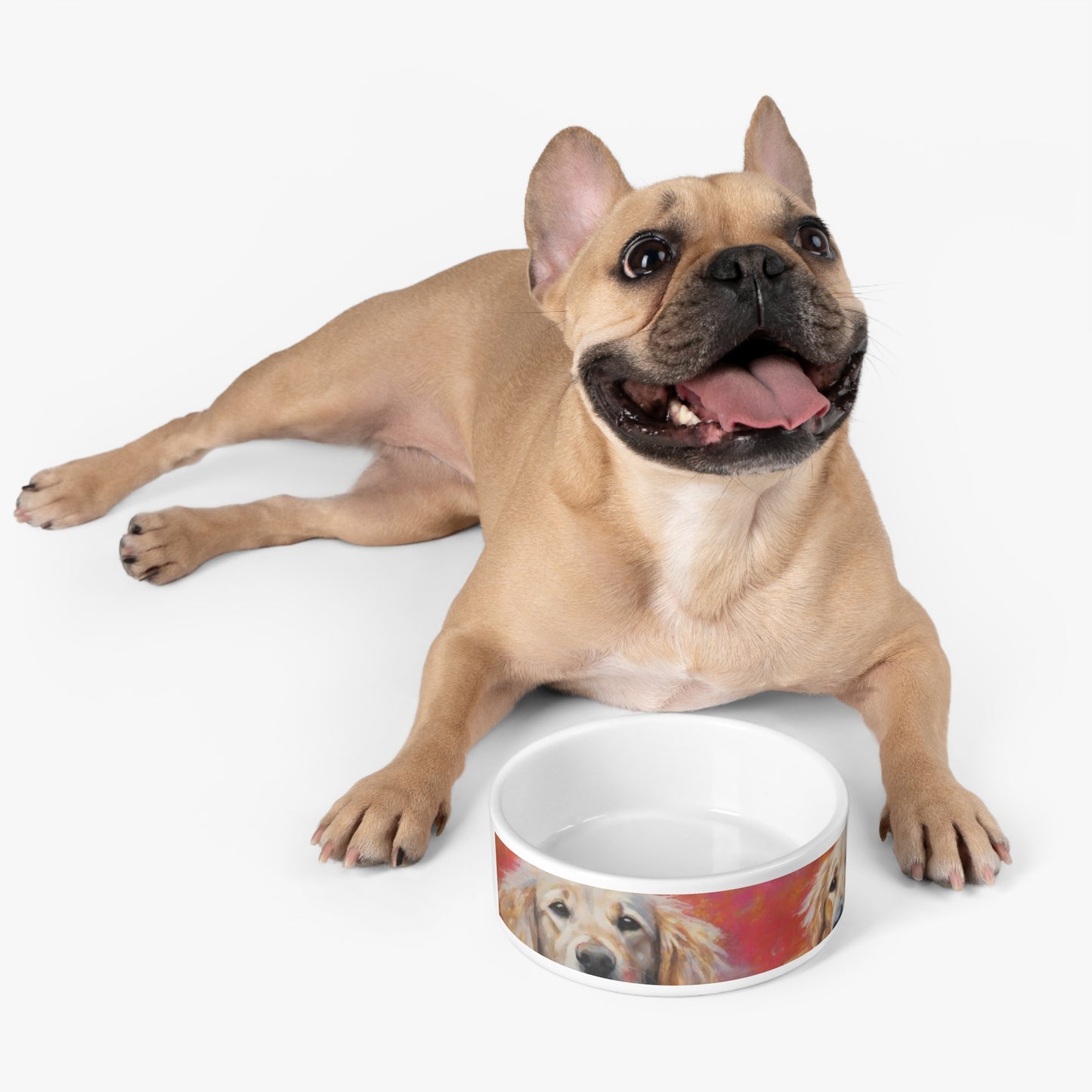 Pet Dog Bowl – Ceramic Food & Water Dog Bowl, Microwave & Dishwasher Safe