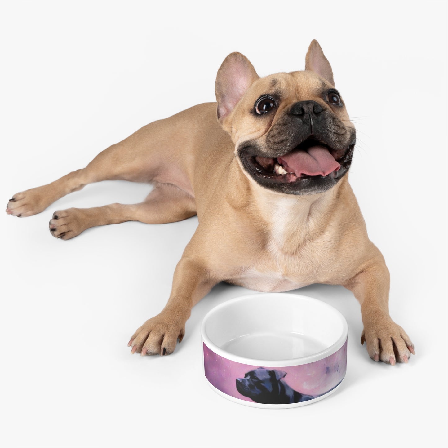 Pet Dog Bowl – Ceramic Food & Water Dish, Microwave & Dishwasher Safe