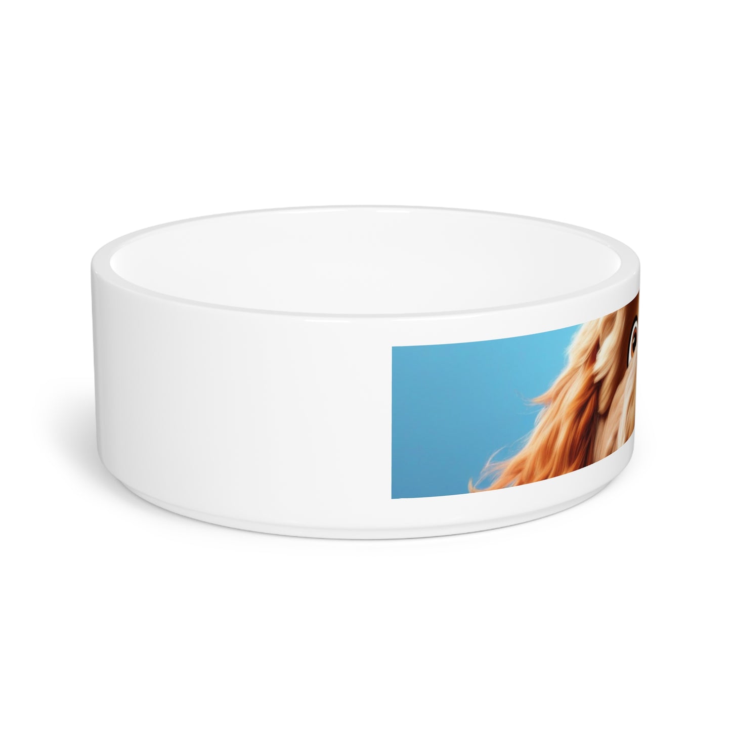 Pet Dog Bowl – Ceramic Food & Water Dish, Microwave & Dishwasher Safe