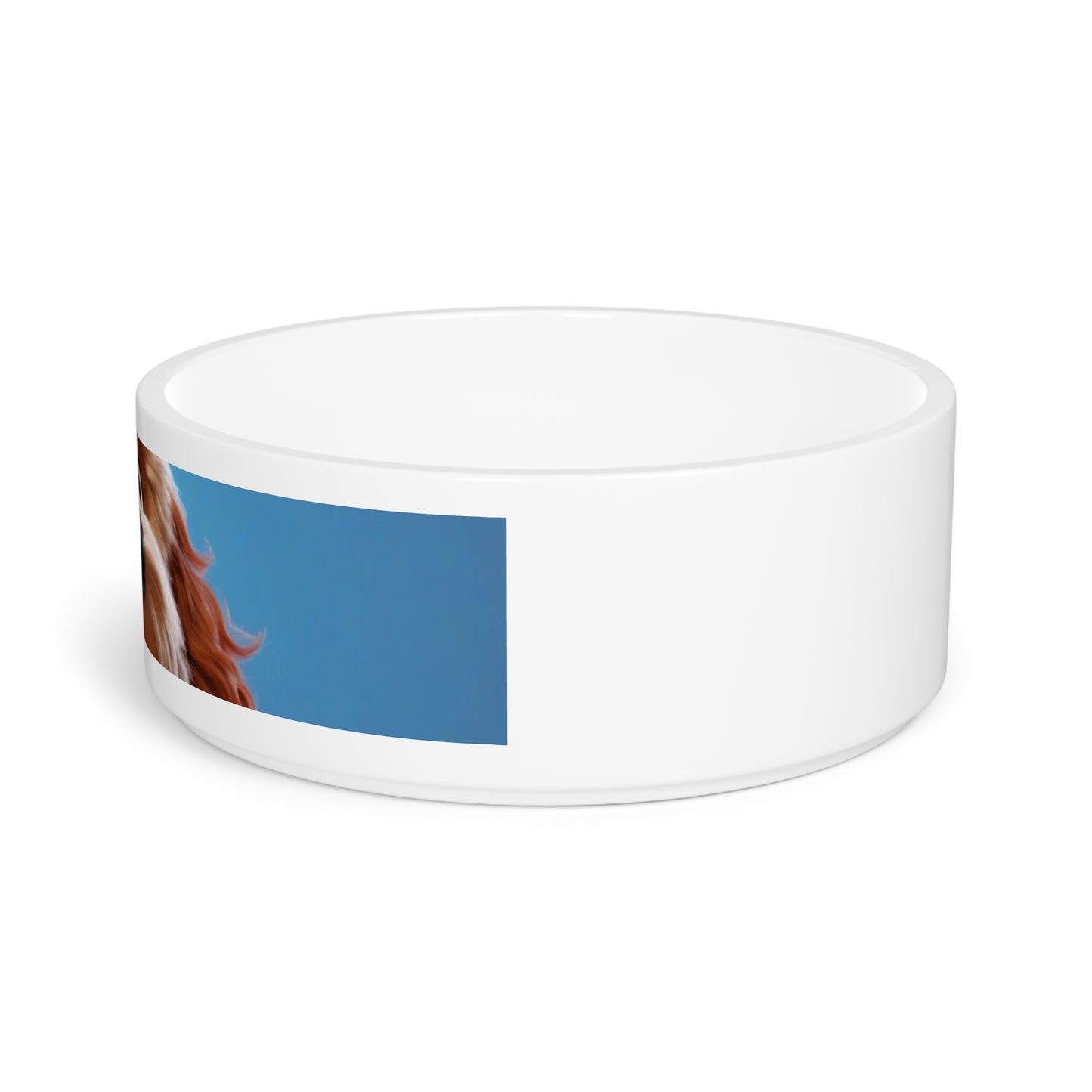 Pet Dog Bowl – Ceramic Food & Water Dish, Microwave & Dishwasher Safe