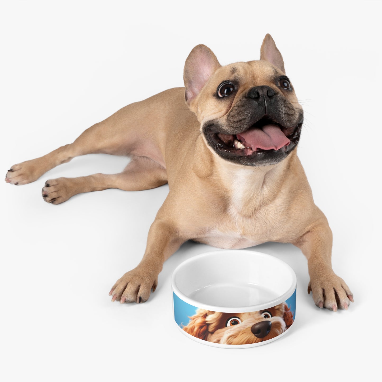 Pet Dog Bowl – Ceramic Food & Water Dish, Microwave & Dishwasher Safe